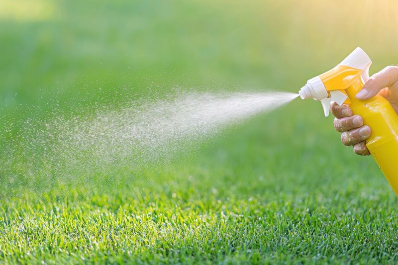 Lawn Weed Spraying Service