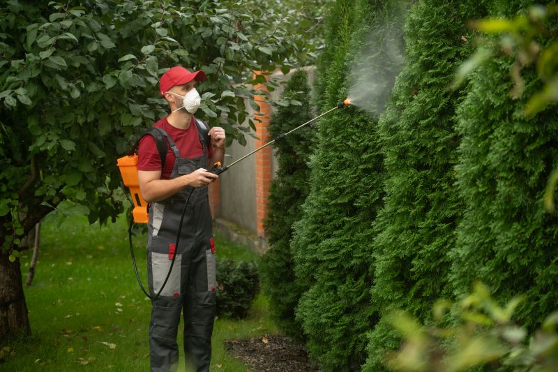 Weed Control Spraying
