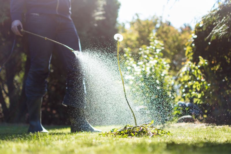 Cost of Weed Control Spraying — Cost of Weed Control Spraying