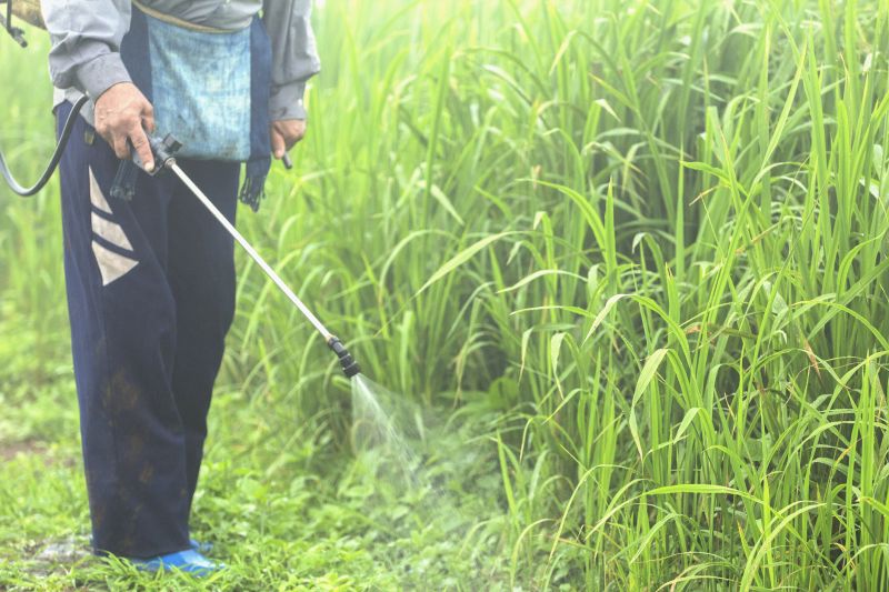 Cost of Weed Control Spraying — Cost of Weed Control Spraying