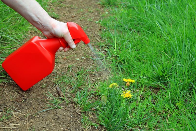 Cost of Weed Control Spraying — Cost of Weed Control Spraying