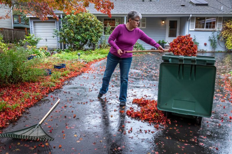 Fall Lawn Cleanup in Progress