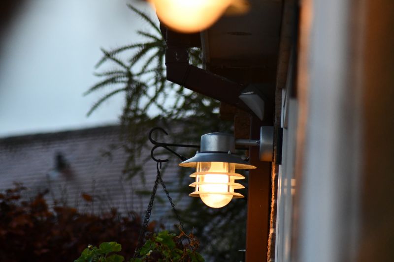 Garden Lighting Installation in Denver County, CO