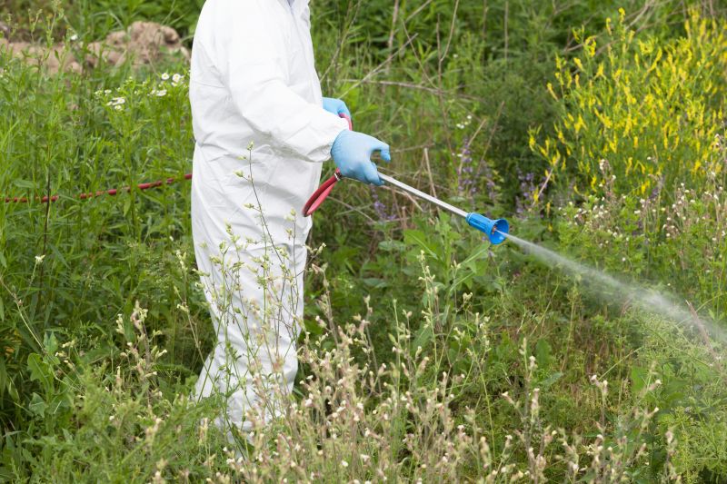 Weed Control Spraying