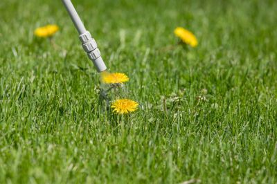 Kill Weeds and Keep Them from Coming Back