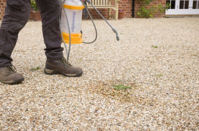 Residential Weed Control Spraying Service